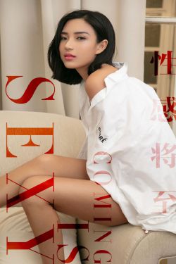 杨门女将之再战金沙滩